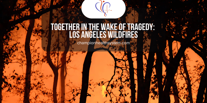 Champion Health System The Los Angeles Wildfire Blog