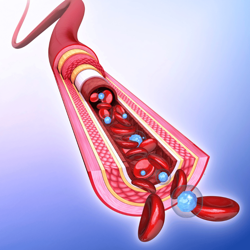 Champion Heart and Vascular Center Diagnostic Test (27)