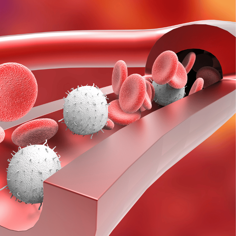 Champion Heart and Vascular Center Diagnostic Test (29)