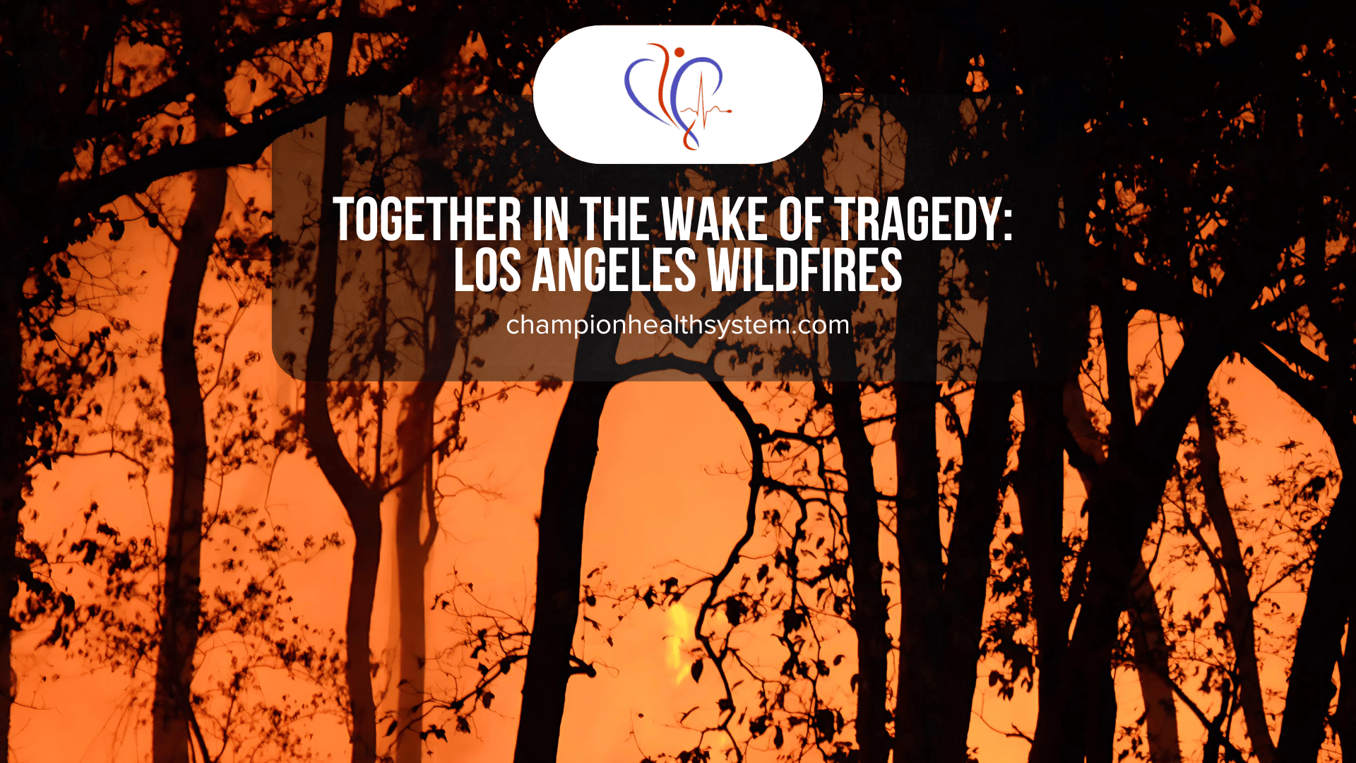 The Devastating Impact of the Los Angeles Wildfires and Path to Recovery